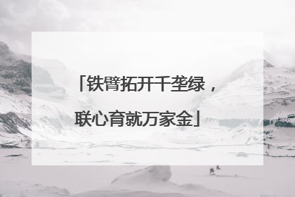 铁臂拓开千垄绿，联心育就万家金