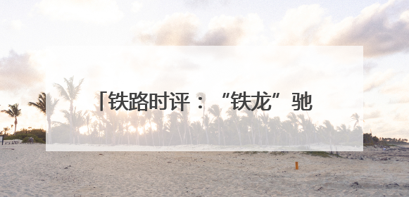 铁路时评：“铁龙”驰骋解码经济“脉动”