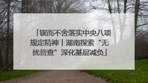 锲而不舍落实中央八项规定精神丨湖南探索“无扰督查”深化基层减负