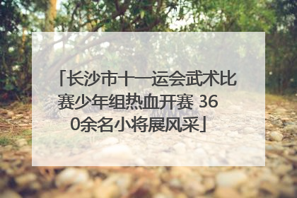 长沙市十一运会武术比赛少年组热血开赛 360余名小将展风采