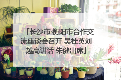 长沙市·衡阳市合作交流座谈会召开 吴桂英刘越高讲话 朱健出席