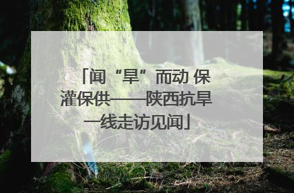 闻“旱”而动 保灌保供——陕西抗旱一线走访见闻