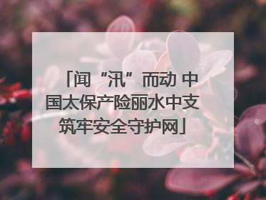 闻“汛”而动 中国太保产险丽水中支筑牢安全守护网