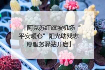 阿克苏红旗坡机场“平安暖心”阳光助残志愿服务驿站开启