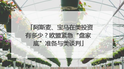 阿斯麦、宝马在美投资有多少？欧盟紧急“盘家底”准备与美谈判