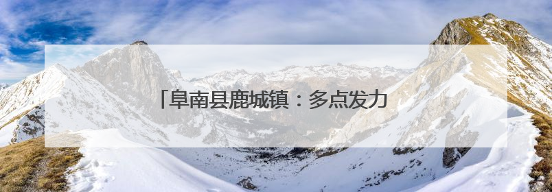 阜南县鹿城镇：多点发力 筑牢秸秆禁烧“防火墙”