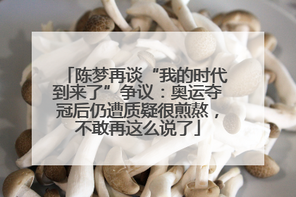 陈梦再谈“我的时代到来了”争议：奥运夺冠后仍遭质疑很煎熬，不敢再这么说了