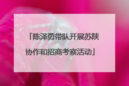 陈泽勇带队开展苏陕协作和招商考察活动