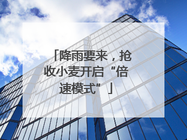 降雨要来，抢收小麦开启“倍速模式”