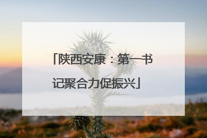 陕西安康：第一书记聚合力促振兴