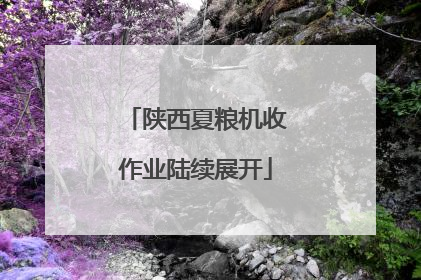 陕西夏粮机收作业陆续展开