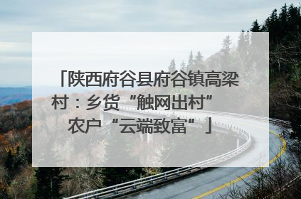 陕西府谷县府谷镇高梁村：乡货“触网出村” 农户“云端致富”