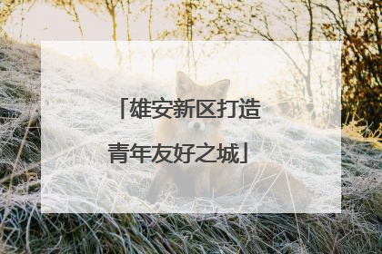 雄安新区打造青年友好之城