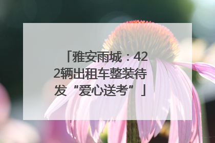 雅安雨城：422辆出租车整装待发“爱心送考”