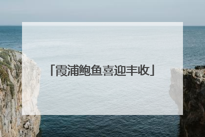 霞浦鲍鱼喜迎丰收