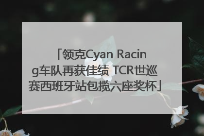 领克Cyan Racing车队再获佳绩 TCR世巡赛西班牙站包揽六座奖杯