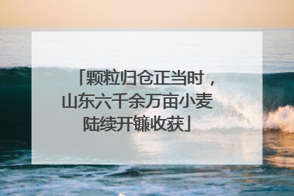 颗粒归仓正当时，山东六千余万亩小麦陆续开镰收获