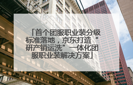 首个团服职业装分级标准落地，京东打造“研产销运洗”一体化团服职业装解决方案