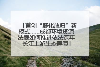 首创“野化放归”新模式……成都环境资源法庭如何推进依法筑牢长江上游生态屏障