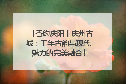 香约庆阳丨庆州古城：千年古韵与现代魅力的完美融合