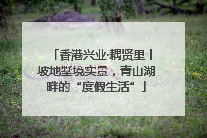 香港兴业·耦贤里丨坡地墅境实景，青山湖畔的“度假生活”