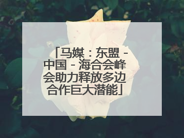 马媒：东盟－中国－海合会峰会助力释放多边合作巨大潜能