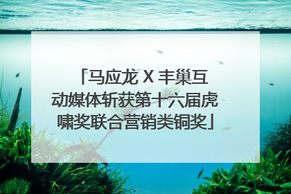 马应龙 X 丰巢互动媒体斩获第十六届虎啸奖联合营销类铜奖
