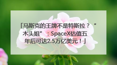 马斯克的王牌不是特斯拉？“木头姐”：SpaceX估值五年后可达2.5万亿美元！