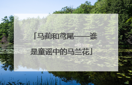 马蔺和鸢尾——谁是童谣中的马兰花