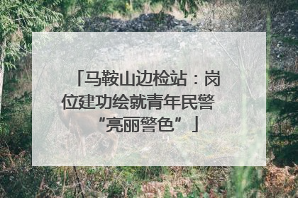 马鞍山边检站：岗位建功绘就青年民警“亮丽警色”