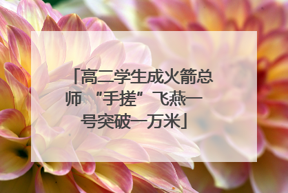 高二学生成火箭总师 “手搓”飞燕一号突破一万米