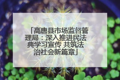 高唐县市场监督管理局：深入推进民法典学习宣传 共筑法治社会新篇章