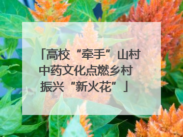 高校“牵手”山村 中药文化点燃乡村振兴“新火花”