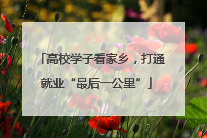 高校学子看家乡，打通就业“最后一公里”