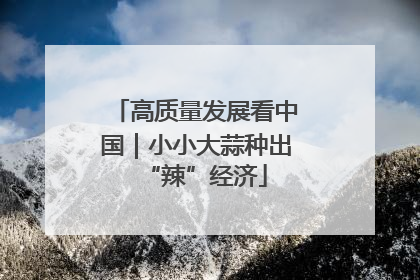 高质量发展看中国｜小小大蒜种出“辣”经济