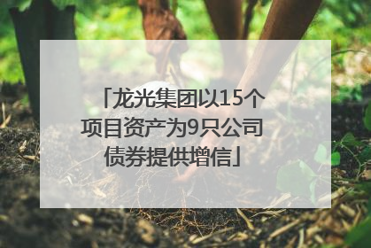 龙光集团以15个项目资产为9只公司债券提供增信
