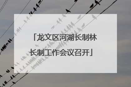 龙文区河湖长制林长制工作会议召开