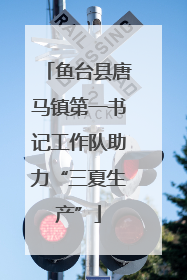 鱼台县唐马镇第一书记工作队助力“三夏生产”