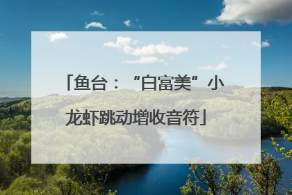 鱼台：“白富美”小龙虾跳动增收音符