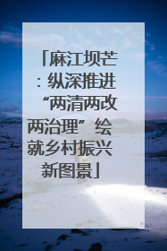 麻江坝芒：纵深推进“两清两改两治理”绘就乡村振兴新图景