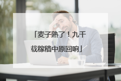麦子熟了！九千载稼穑中原回响