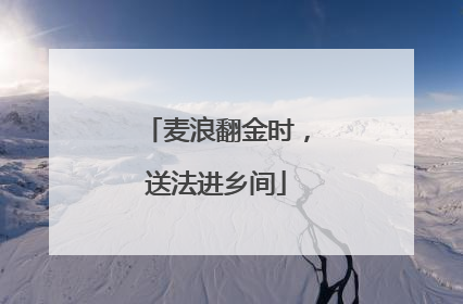 麦浪翻金时，送法进乡间