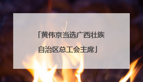 黄伟京当选广西壮族自治区总工会主席