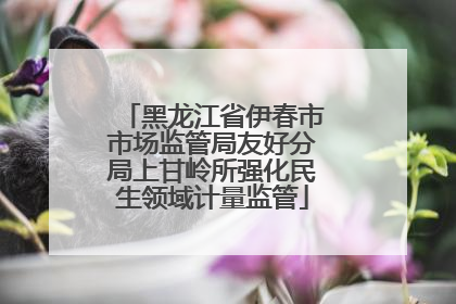 黑龙江省伊春市市场监管局友好分局上甘岭所强化民生领域计量监管