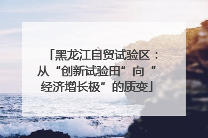 黑龙江自贸试验区：从“创新试验田”向“经济增长极”的质变
