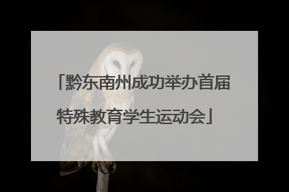 黔东南州成功举办首届特殊教育学生运动会