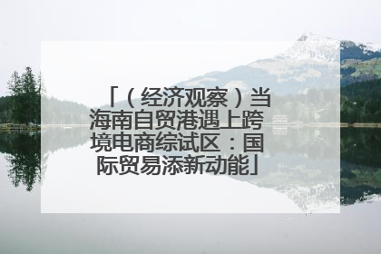 （经济观察）当海南自贸港遇上跨境电商综试区：国际贸易添新动能