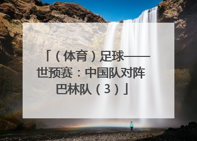 （体育）足球——世预赛：中国队对阵巴林队（3）