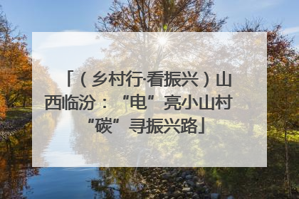 （乡村行·看振兴）山西临汾：“电”亮小山村 “碳”寻振兴路