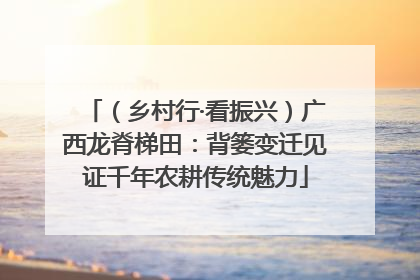 （乡村行·看振兴）广西龙脊梯田：背篓变迁见证千年农耕传统魅力